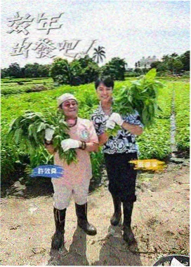 明星大侦探第十一季 高能指认名场面